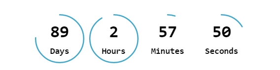 Countdown Timer – Widget Countdown Download Free Wordpress Plugin 2
