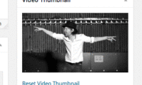 Video Thumbnails Download Free WordPress Plugin
