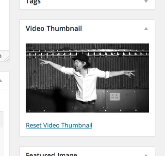 Video Thumbnails Download Free Wordpress Plugin 3