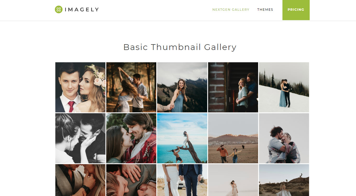 WordPress Gallery Plugin – NextGEN Gallery Download Free Wordpress.