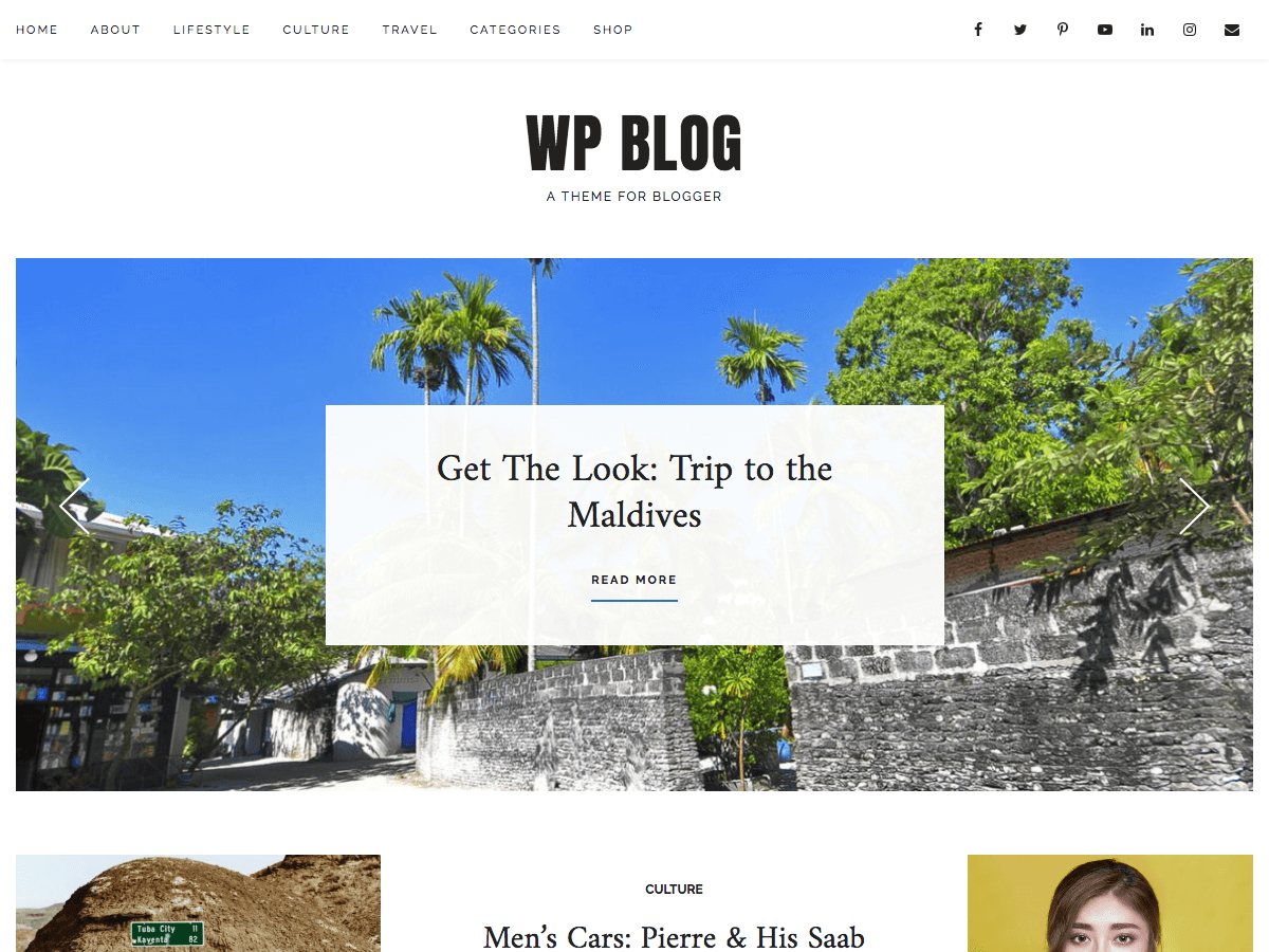 WP Blog Download Free Wordpress Theme 2