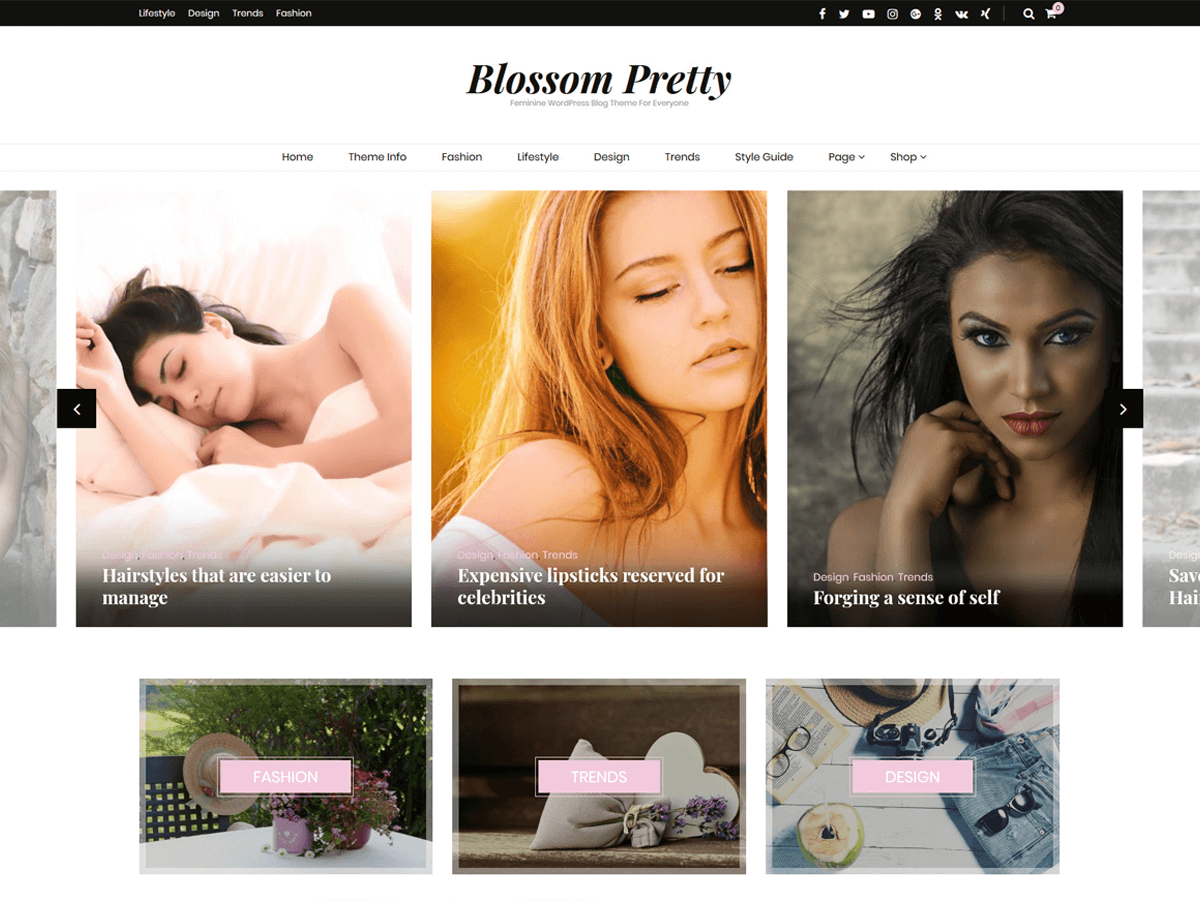 Blossom Pretty Download Free Wordpress Theme 4