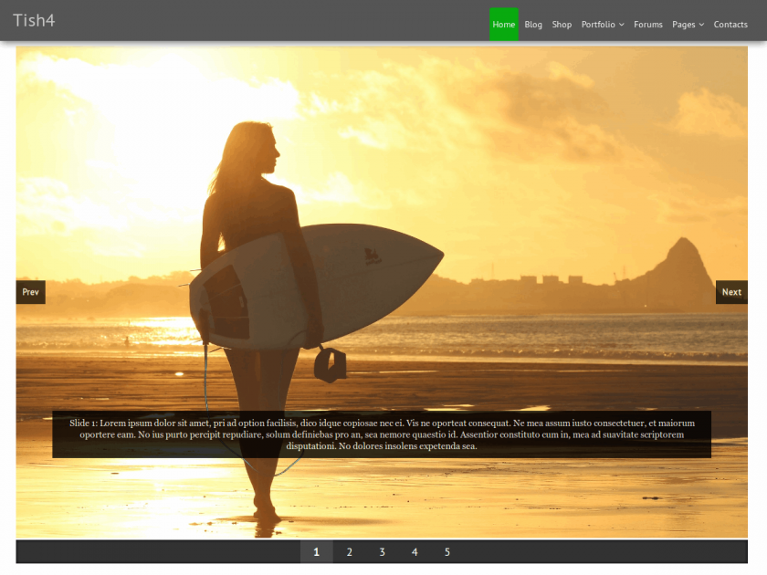 tish4-download-free-wordpress-theme-2022