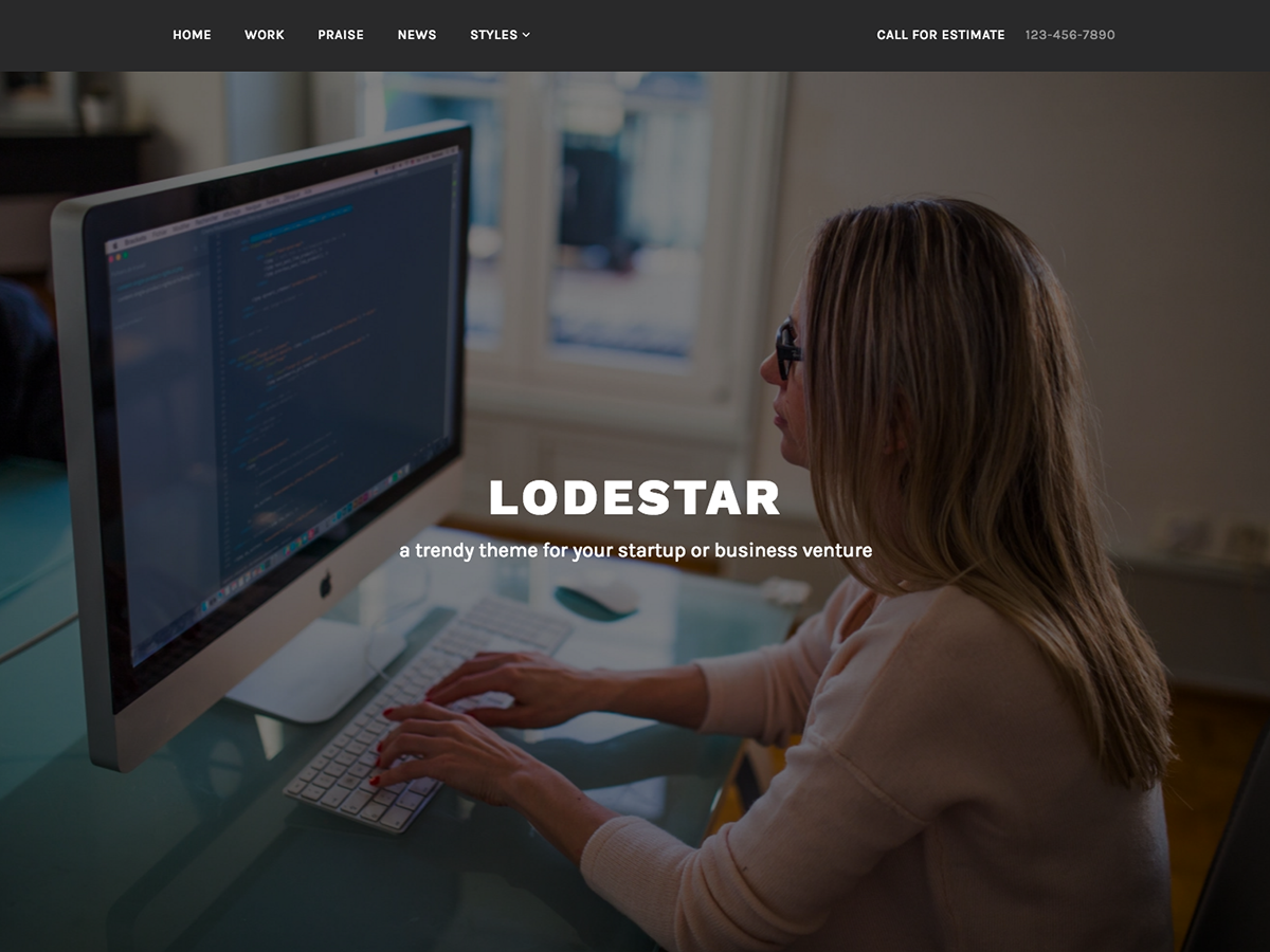 Lodestar Download Free Wordpress Theme 3