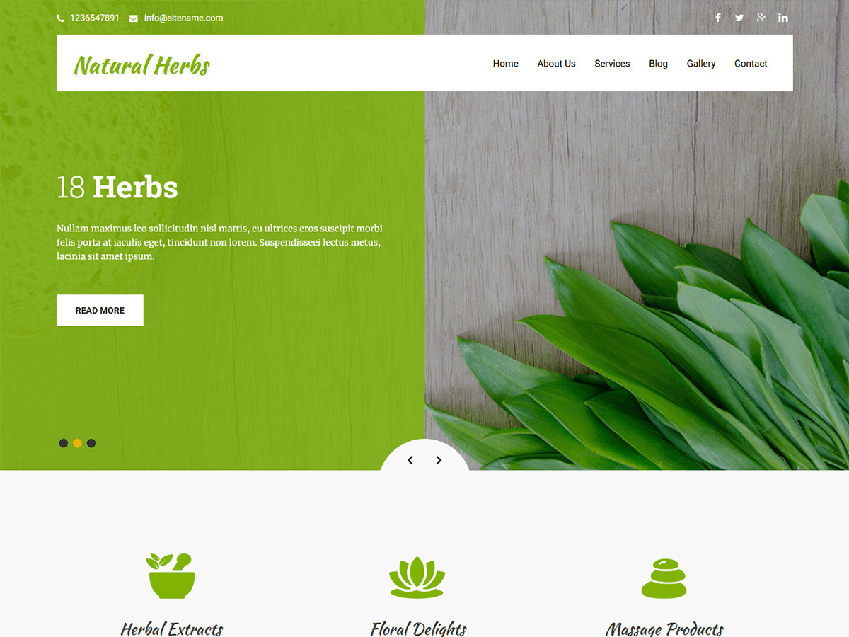 Natural Herbs Lite Download Free Wordpress Theme 2