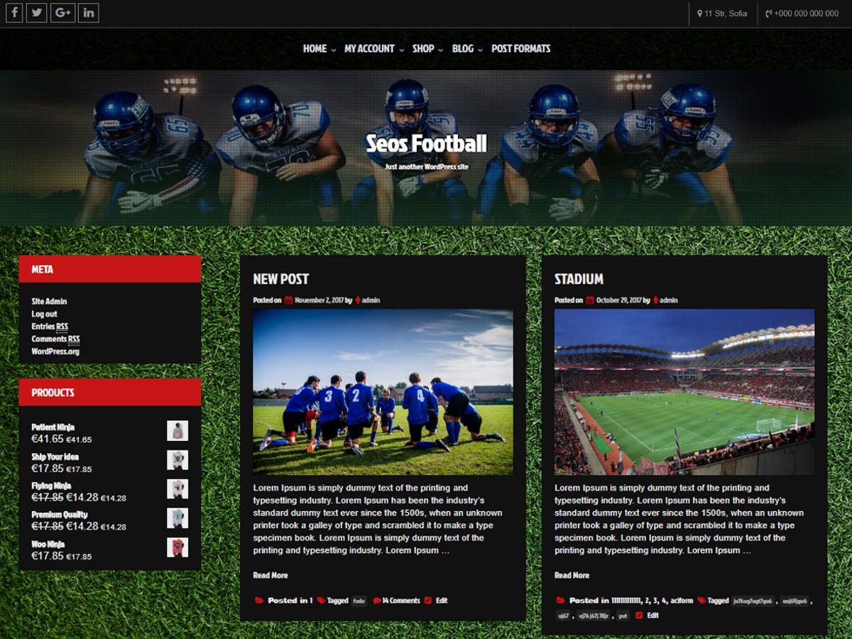 Seos Football Download Free Wordpress Theme 1