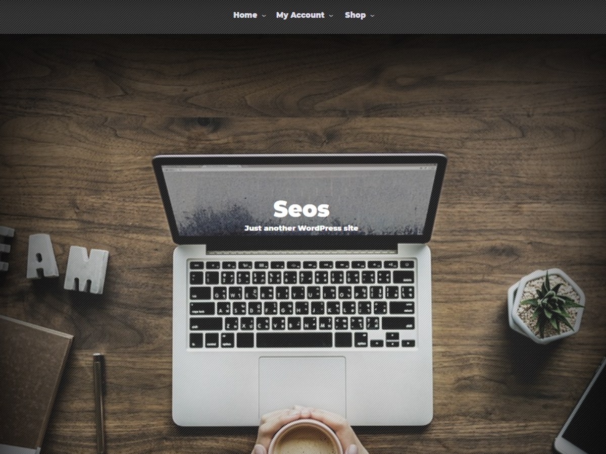 SEOS Download Free Wordpress Theme 3