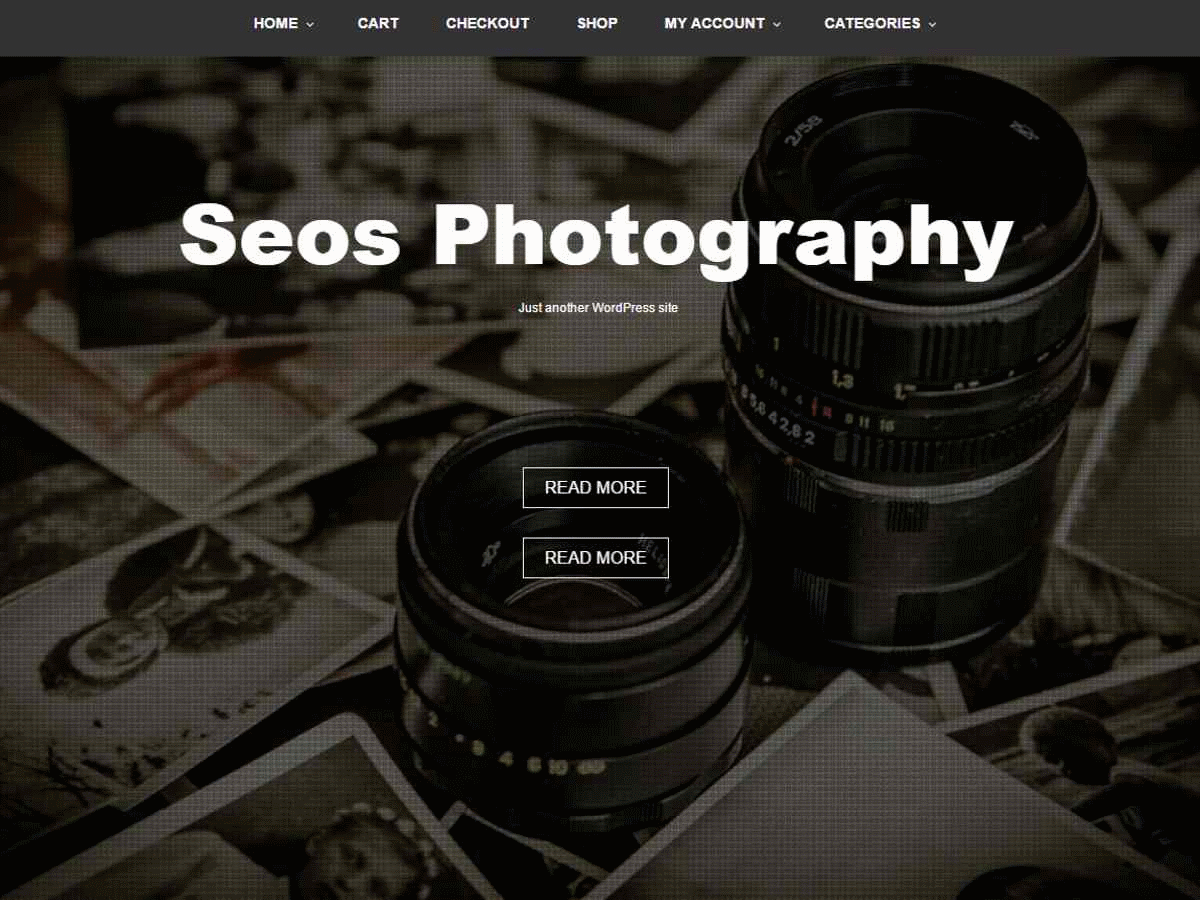 Seos Photography Download Free Wordpress Theme 5
