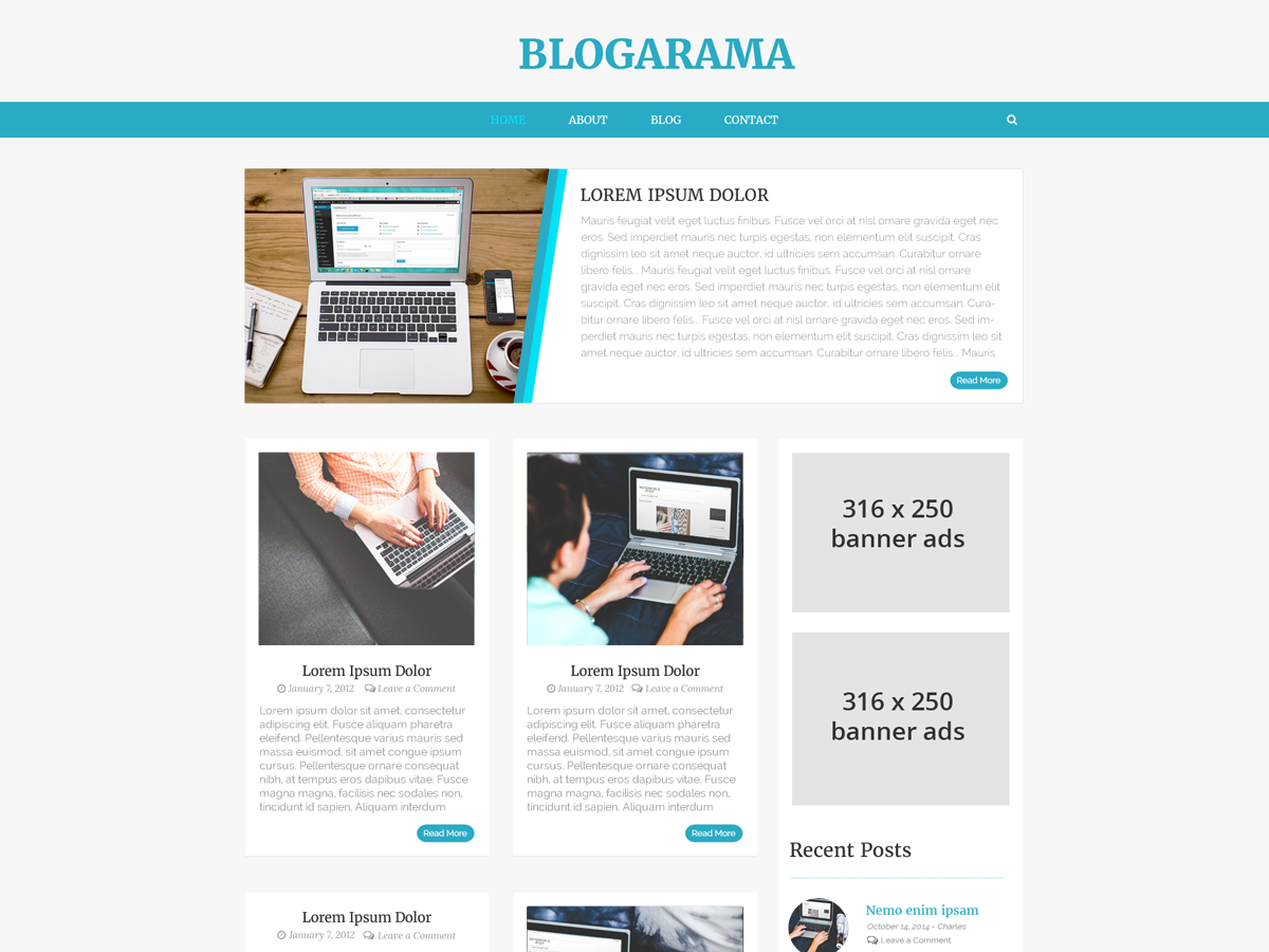 Blogarama Download Free Wordpress Theme 4