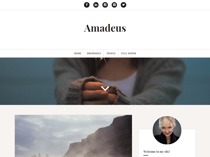 Amadeus Download Free Wordpress Theme 2