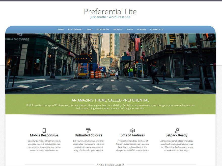 Preferential Lite Download Free Wordpress Theme 1