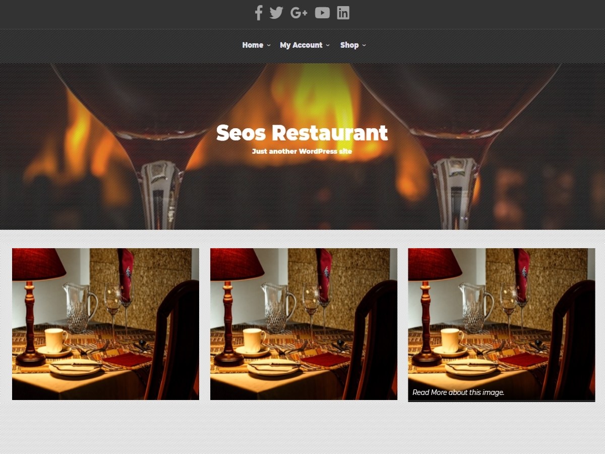 SEOS Restaurant Download Free Wordpress Theme 2