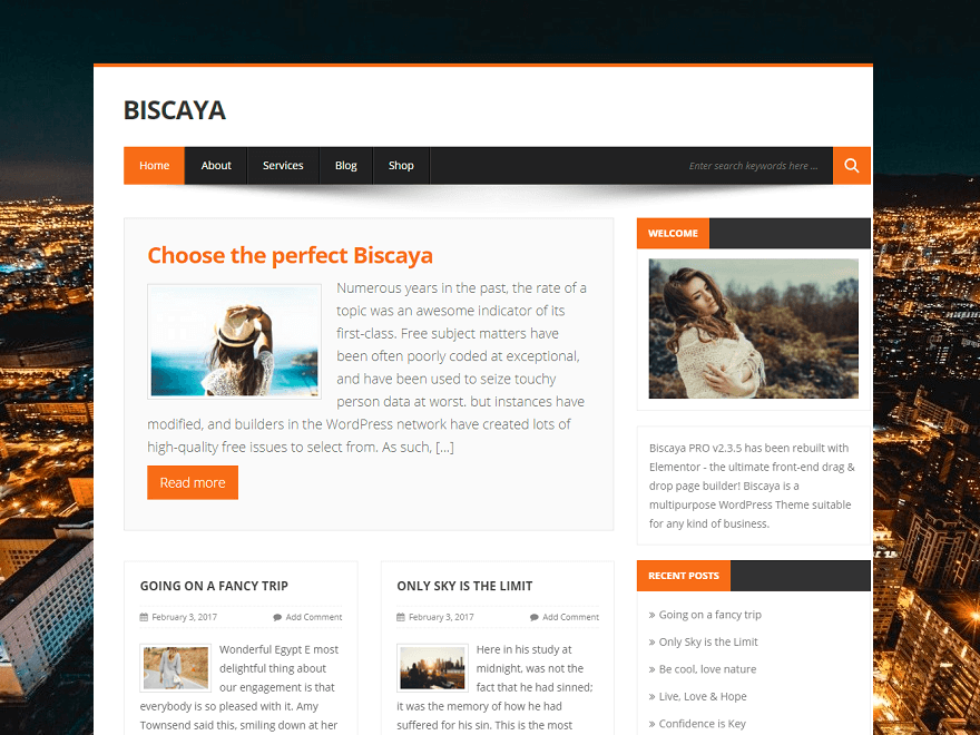 BiscayaLite Download Free Wordpress Theme 1